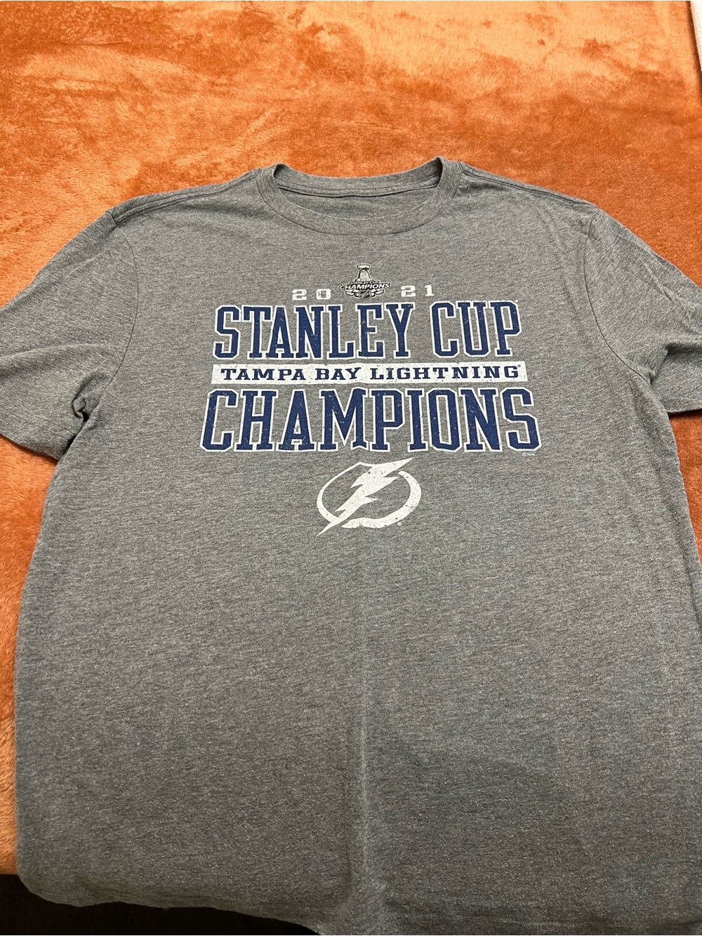 Tampa Bay Lightning "Stanley Cup Champions" Gray Tee